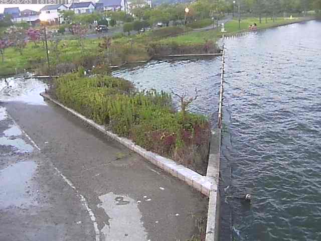 取得できませんでした