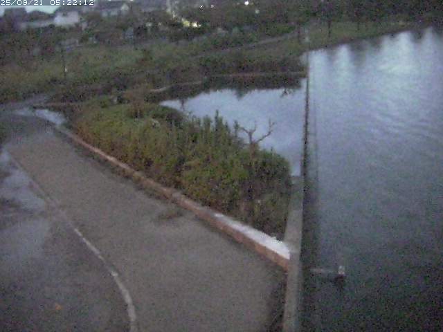 取得できませんでした