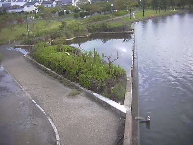 取得できませんでした