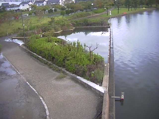 取得できませんでした