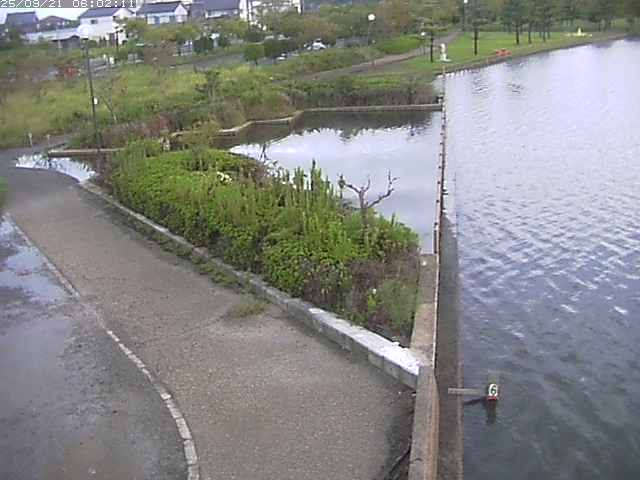 取得できませんでした