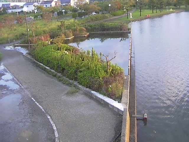 取得できませんでした