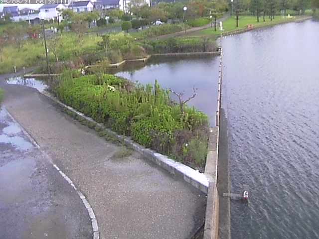 取得できませんでした