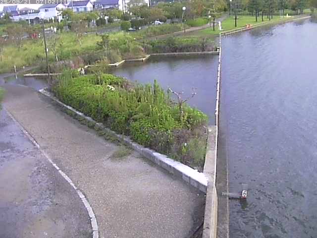 取得できませんでした