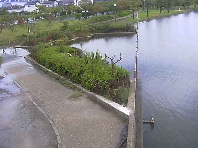 取得できませんでした