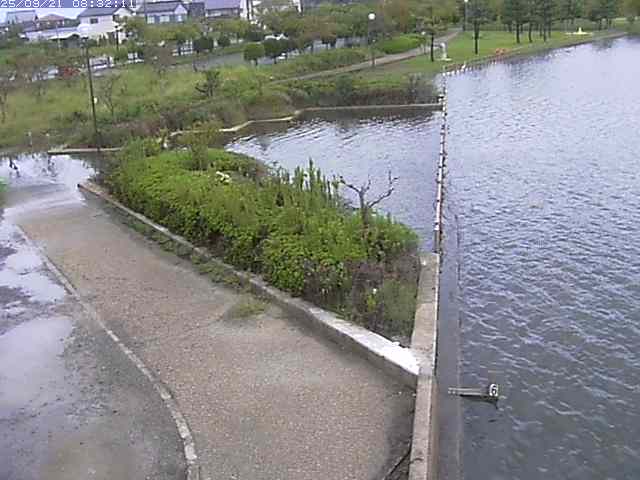取得できませんでした