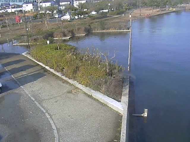 取得できませんでした