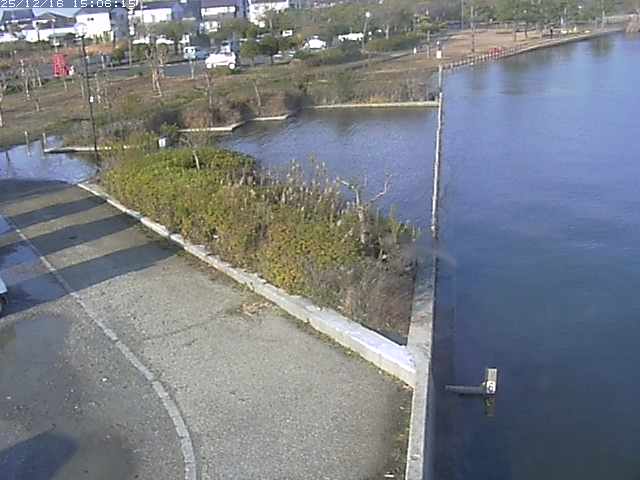 取得できませんでした