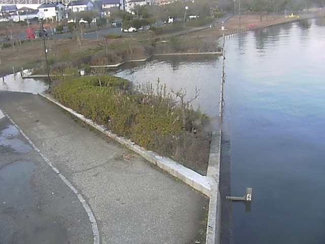 取得できませんでした