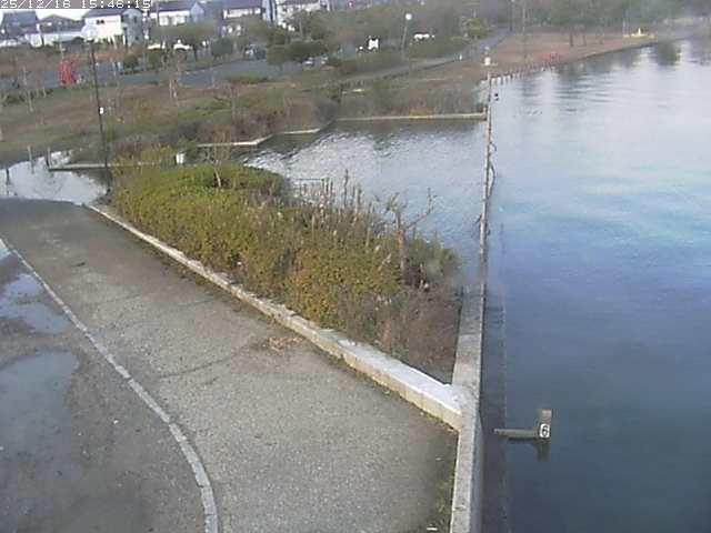 取得できませんでした