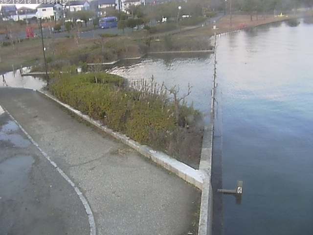 取得できませんでした