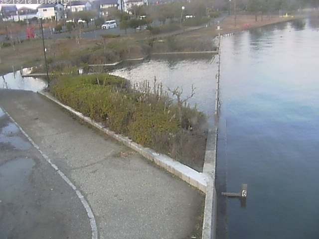 取得できませんでした