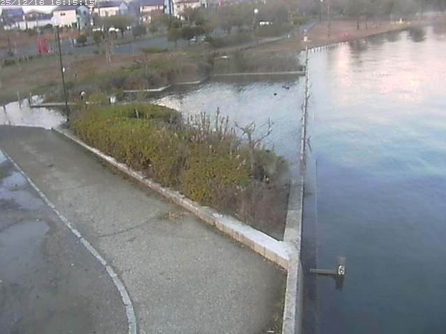 取得できませんでした