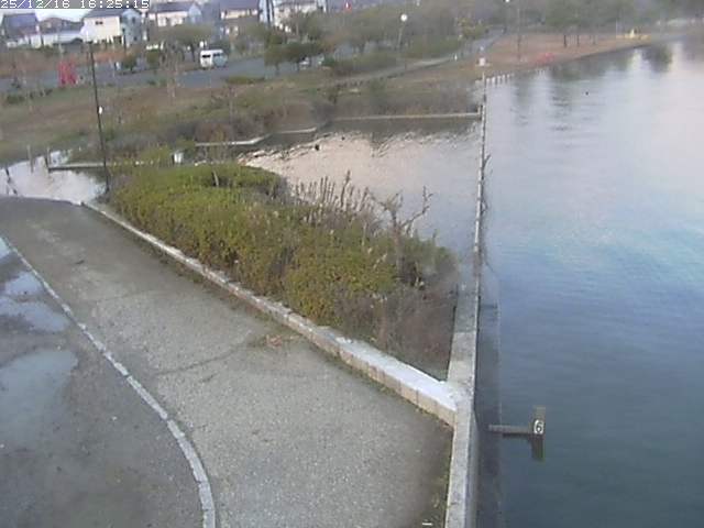 取得できませんでした