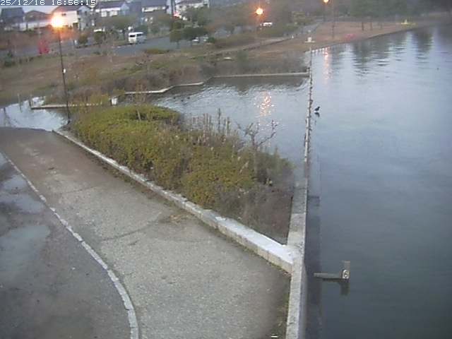 取得できませんでした