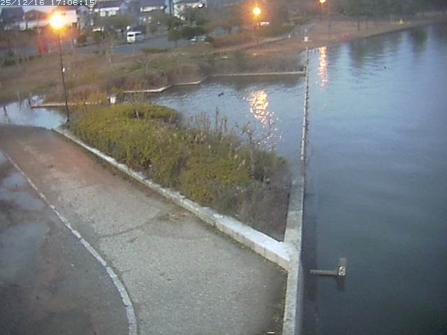 取得できませんでした