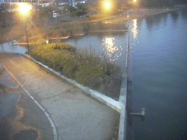 取得できませんでした