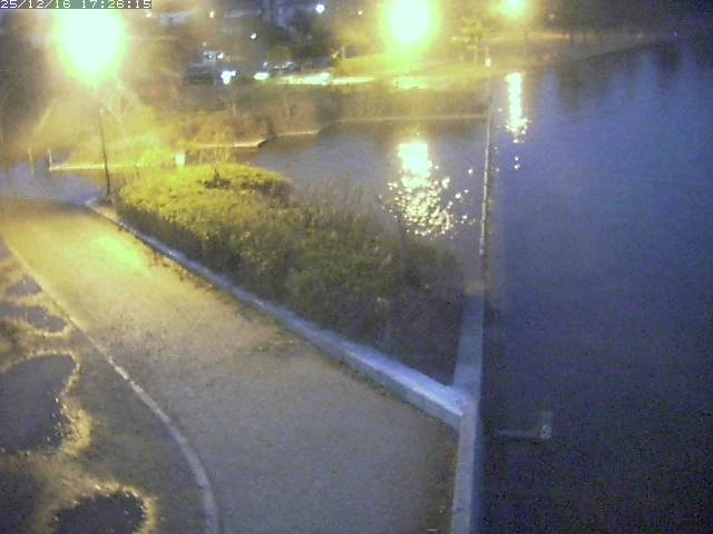 取得できませんでした