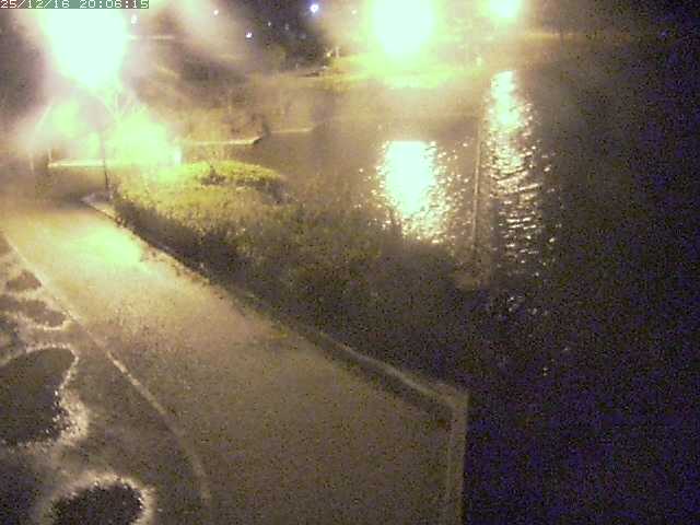 取得できませんでした