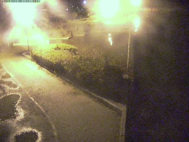 取得できませんでした