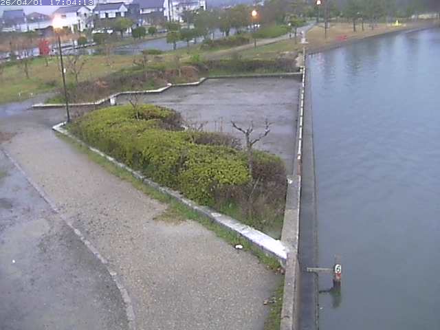 取得できませんでした