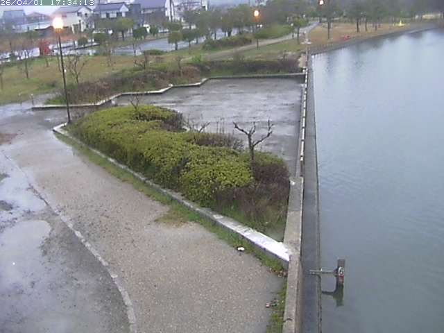 取得できませんでした