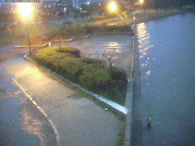 取得できませんでした