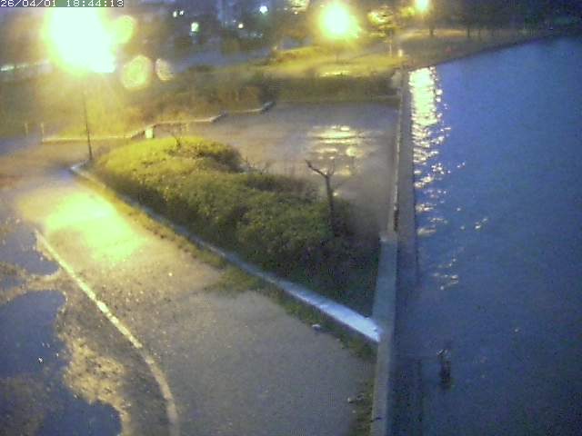 取得できませんでした