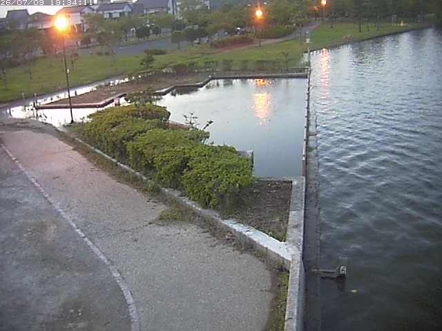 取得できませんでした