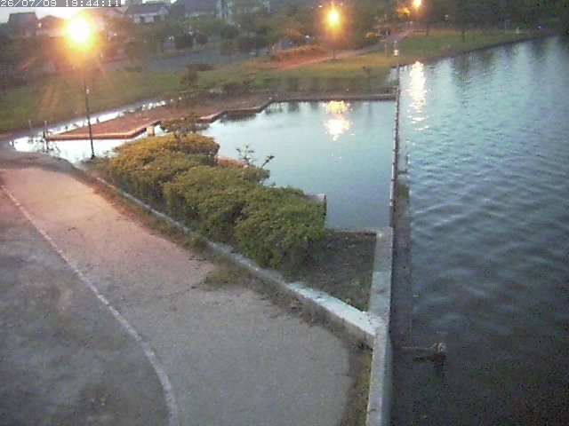 取得できませんでした