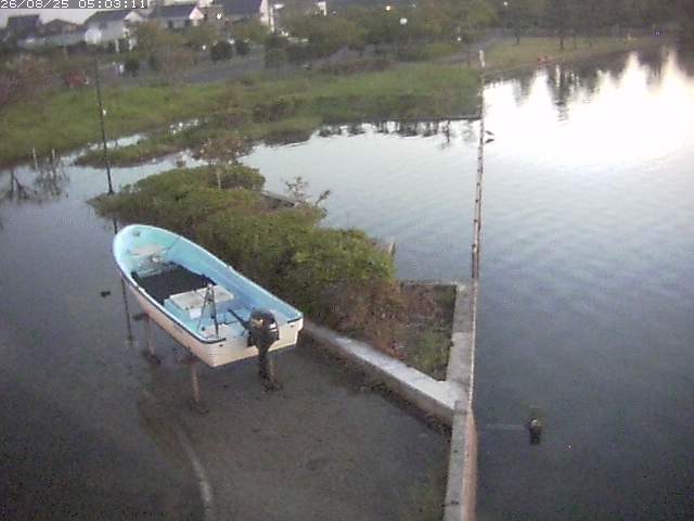 取得できませんでした