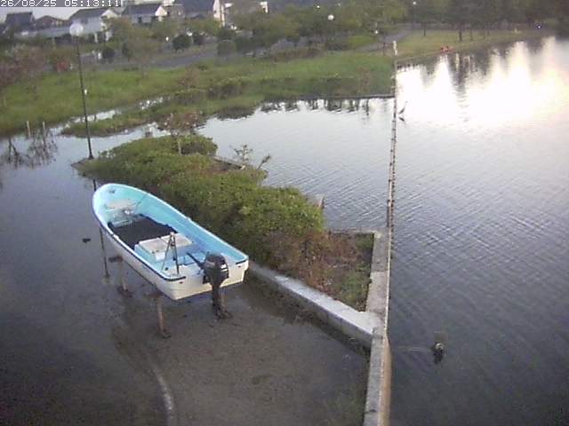 取得できませんでした