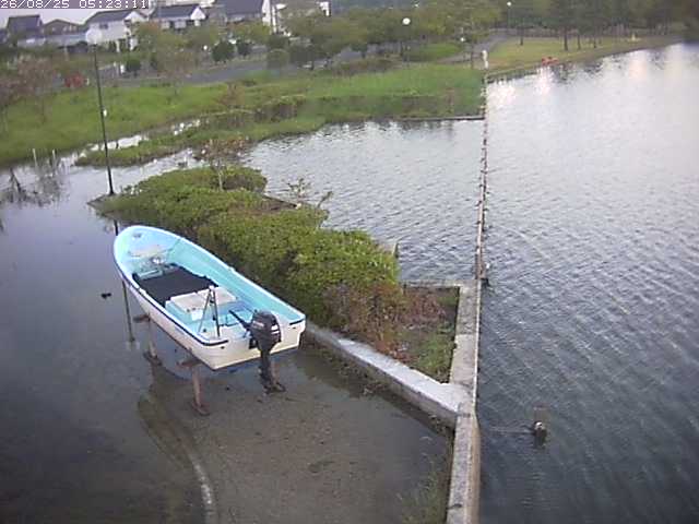 取得できませんでした