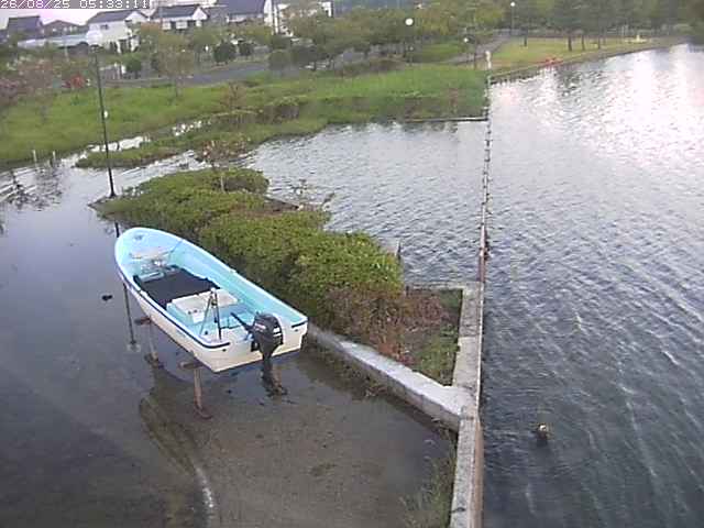 取得できませんでした