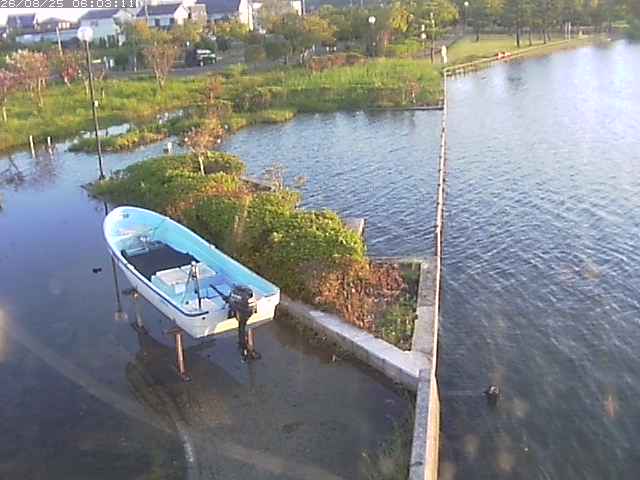 取得できませんでした