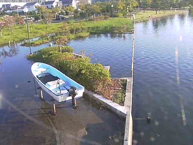 取得できませんでした