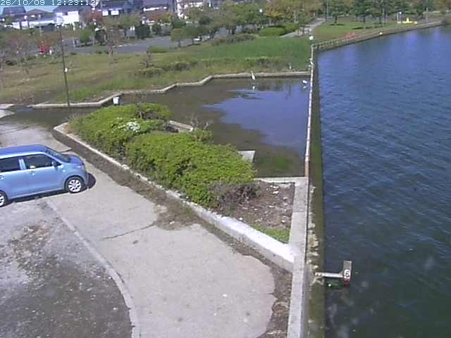 取得できませんでした