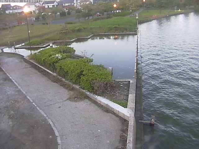 取得できませんでした