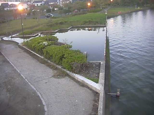 取得できませんでした