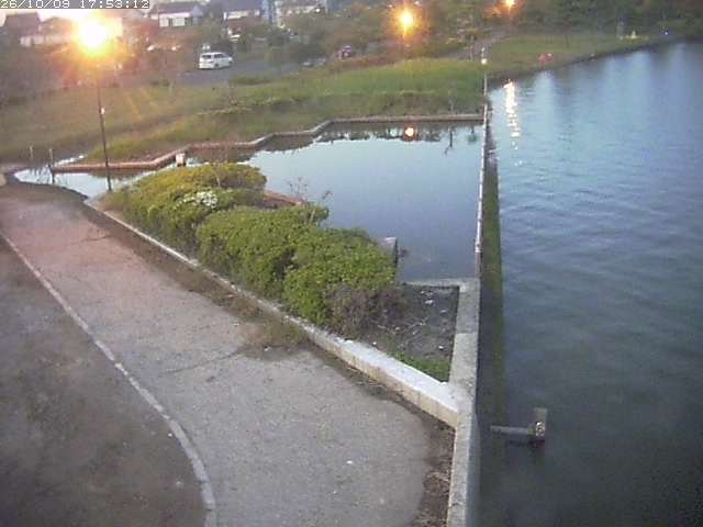 取得できませんでした