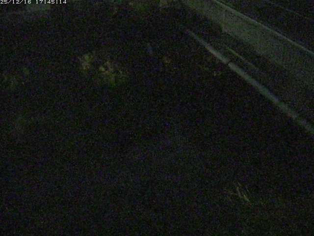 取得できませんでした