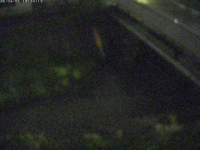 取得できませんでした