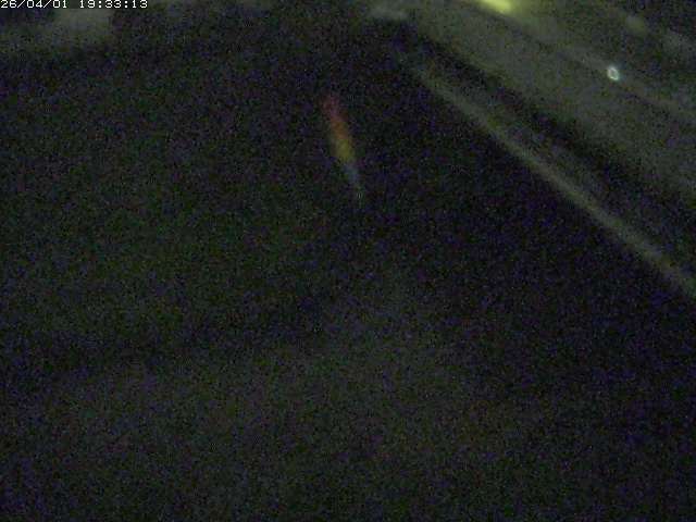 取得できませんでした