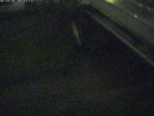 取得できませんでした