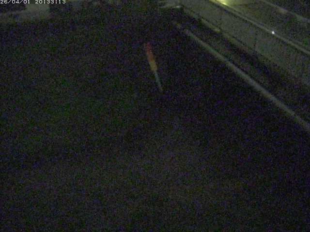 取得できませんでした