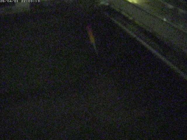 取得できませんでした