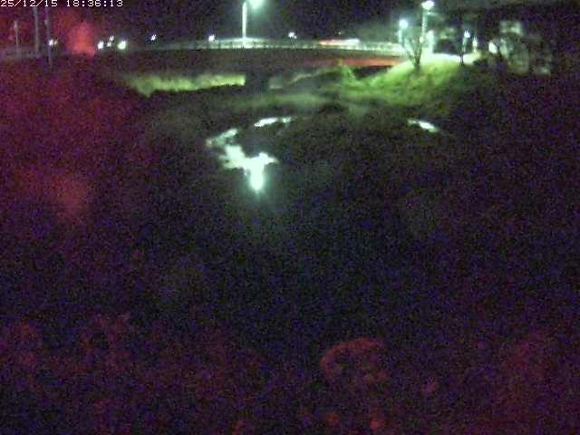 取得できませんでした