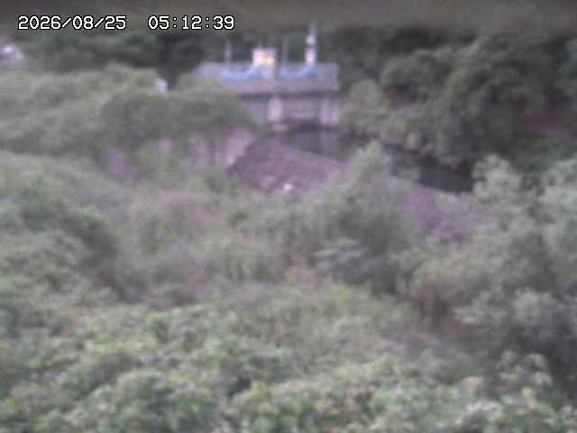 取得できませんでした