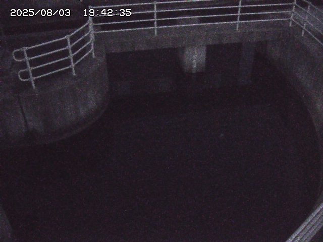 取得できませんでした