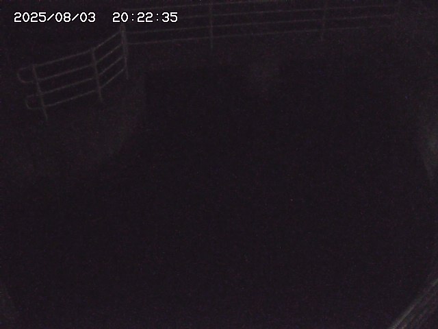 取得できませんでした